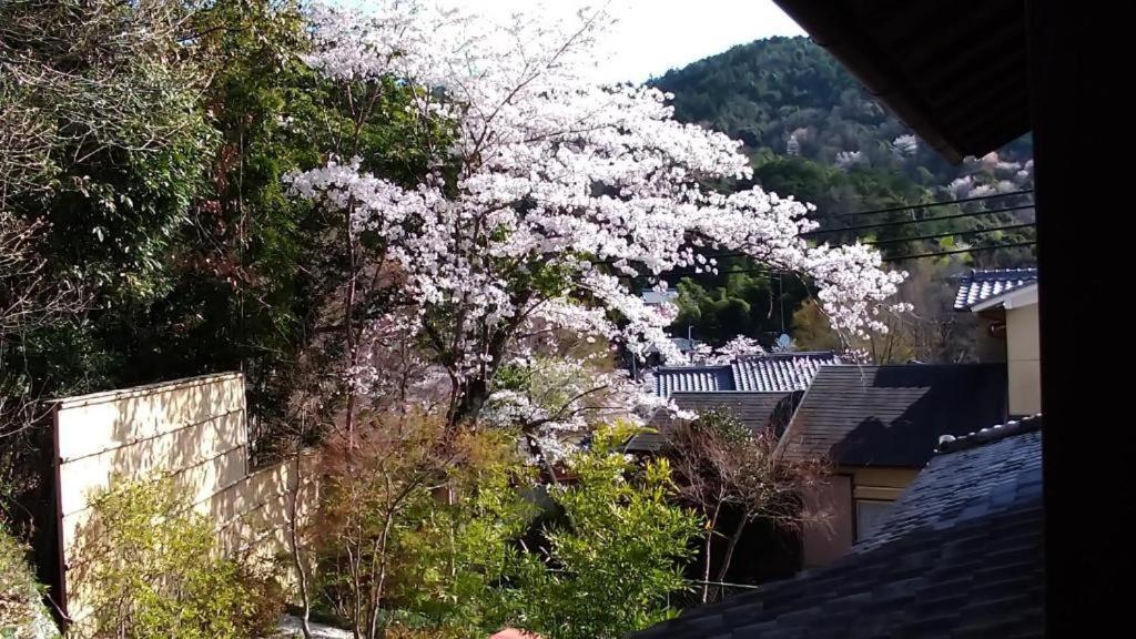 Hotel 金閣荘 à Kyoto Extérieur photo